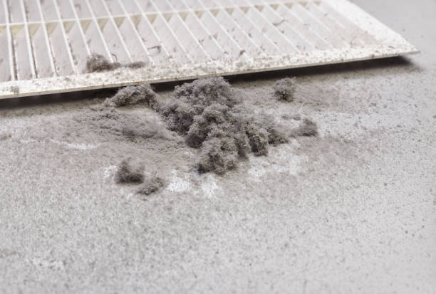 Best Air Duct Cleaning Near Me in Crystal Lake, IL