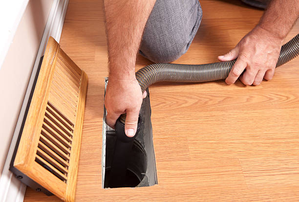 Air Duct Mold Removal in Crystal Lake, IL