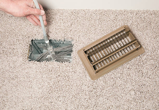 Best Air Duct Mold Removal  in Crystal Lake, IL