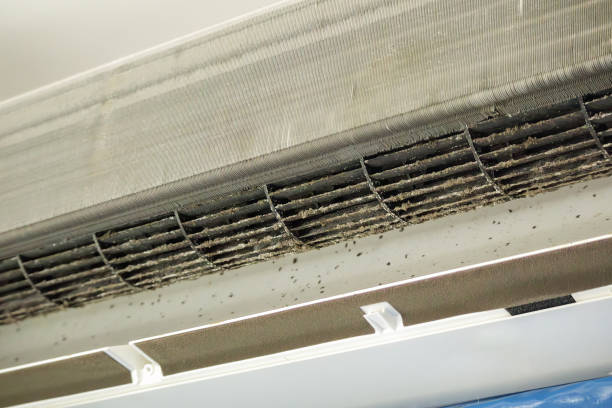 Best General Air Duct Cleaning  in Crystal Lake, IL